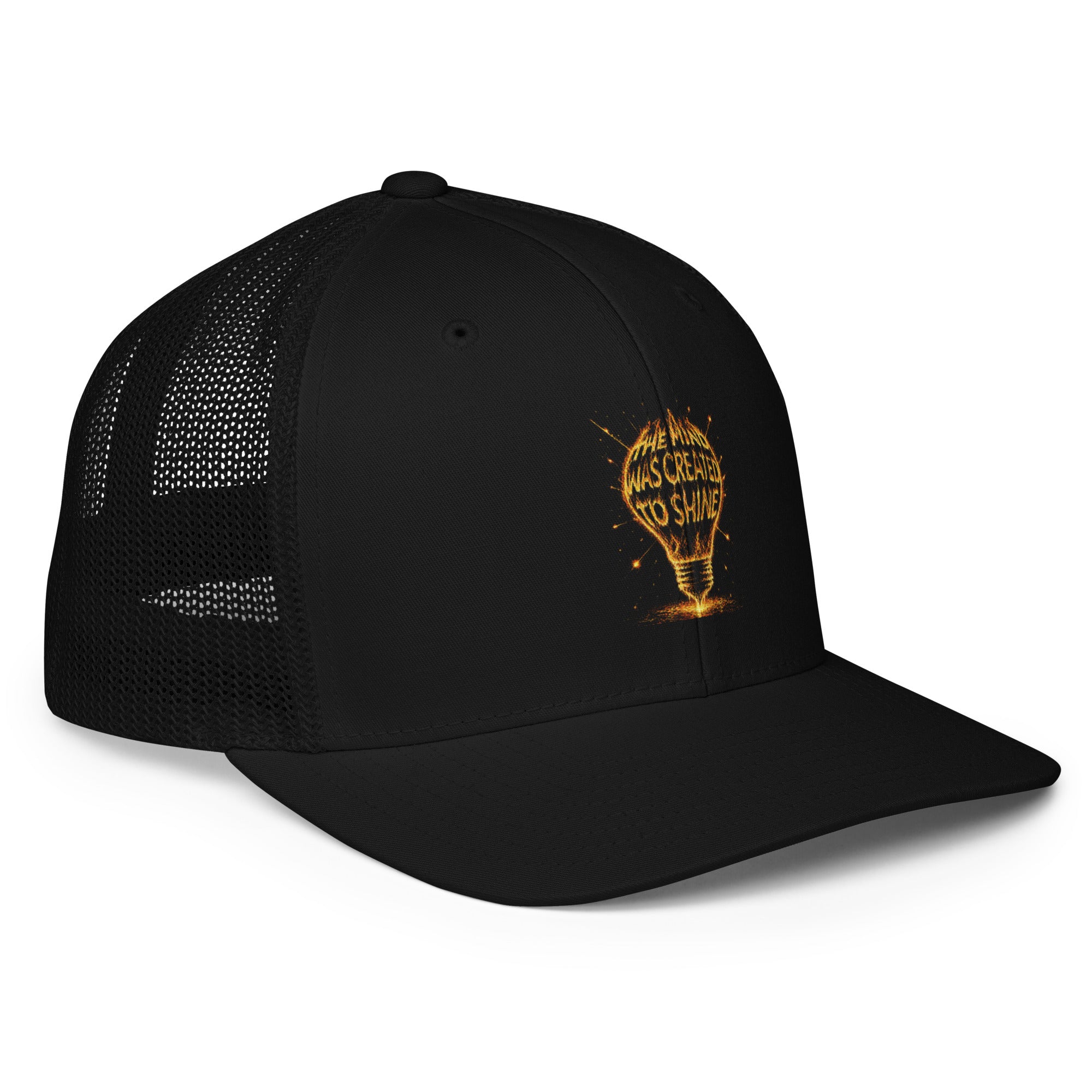 BRIMZ - Snapbacks Caps & Trucker Hats Collection – THE MIND WAS